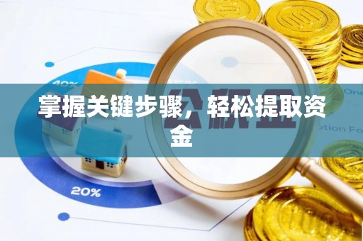 泗洪掌握关键步骤，轻松提取资金