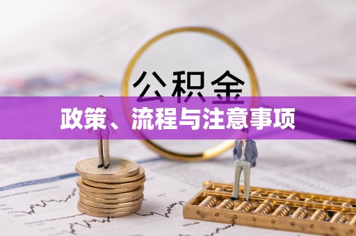 泗洪政策、流程与注意事项
