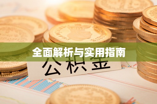 泗洪全面解析与实用指南