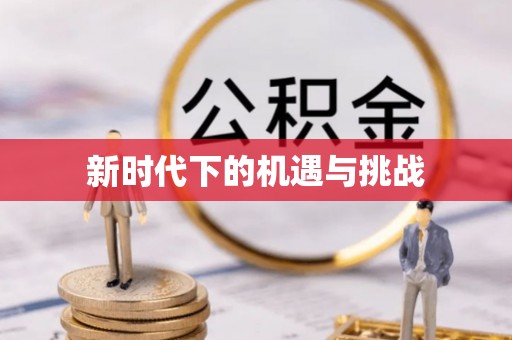 泗洪新时代下的机遇与挑战