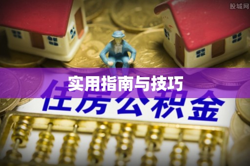 泗洪实用指南与技巧