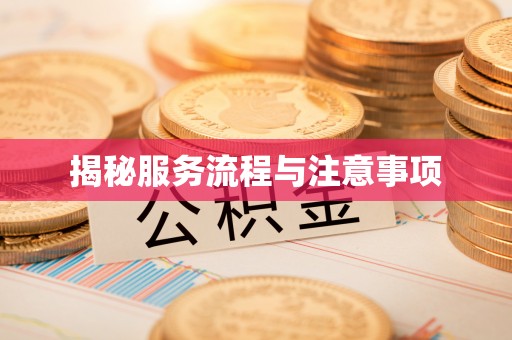 泗洪揭秘服务流程与注意事项