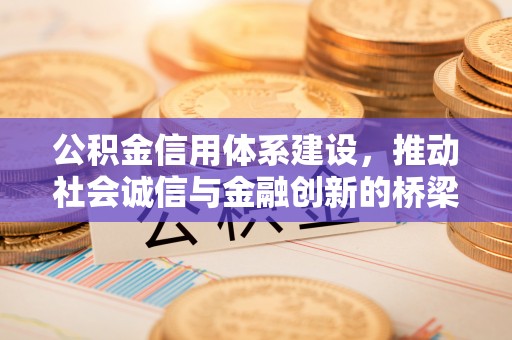 泗洪公积金信用体系建设，推动社会诚信与金融创新的桥梁