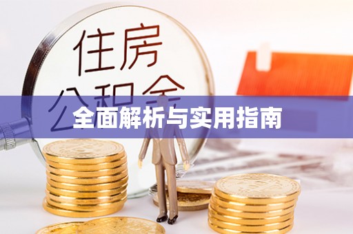 泗洪全面解析与实用指南