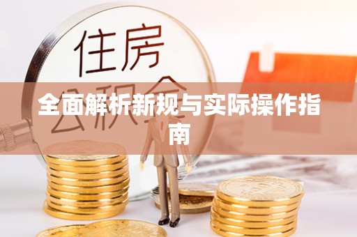 泗洪全面解析新规与实际操作指南