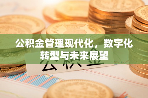 泗洪公积金管理现代化，数字化转型与未来展望
