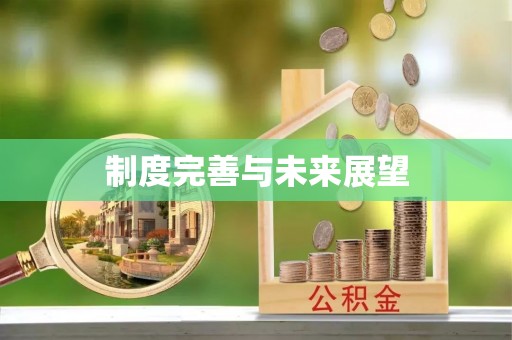 泗洪制度完善与未来展望