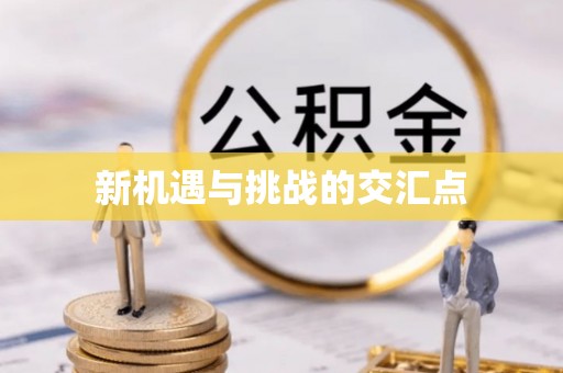 泗洪新机遇与挑战的交汇点