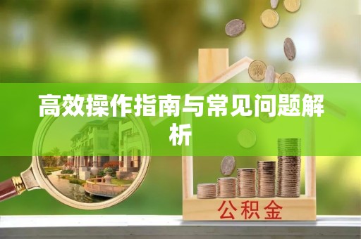 泗洪高效操作指南与常见问题解析