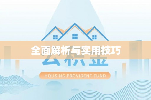 泗洪全面解析与实用技巧