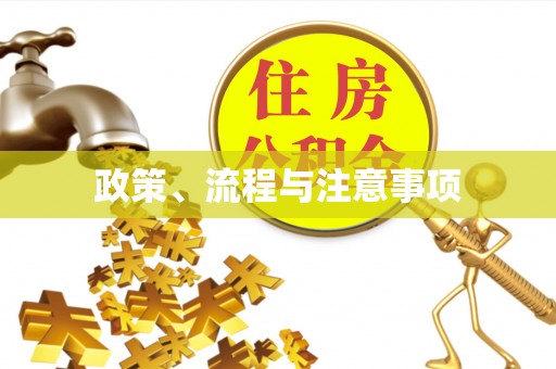 泗洪政策、流程与注意事项