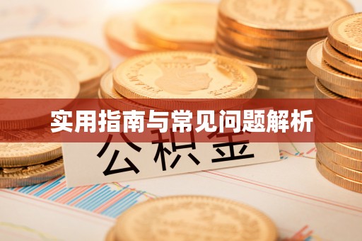 泗洪实用指南与常见问题解析