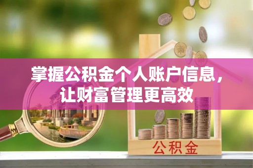 泗洪掌握公积金个人账户信息，让财富管理更高效