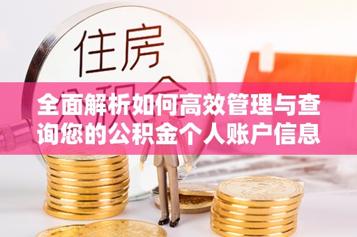 泗洪全面解析如何高效管理与查询您的公积金个人账户信息