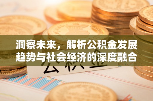 泗洪洞察未来，解析公积金发展趋势与社会经济的深度融合