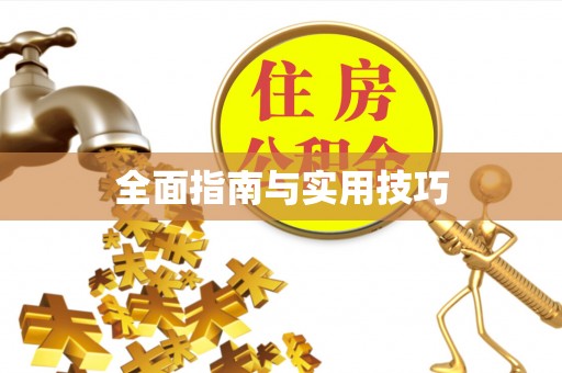 泗洪全面指南与实用技巧
