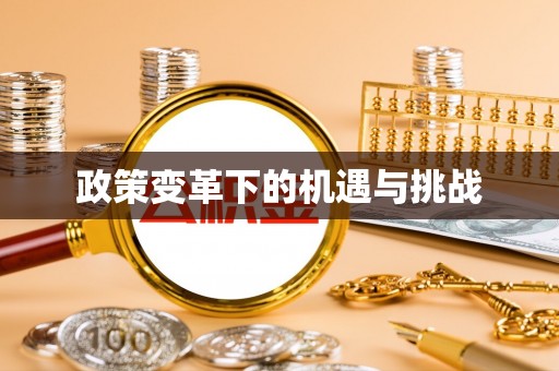 泗洪政策变革下的机遇与挑战