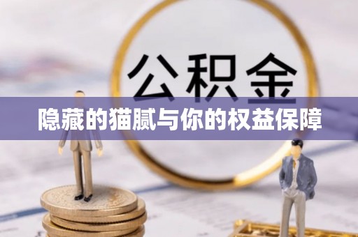 泗洪隐藏的猫腻与你的权益保障