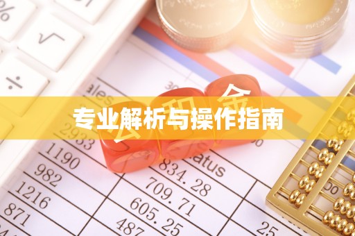 泗洪专业解析与操作指南