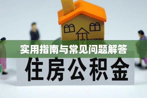 泗洪实用指南与常见问题解答