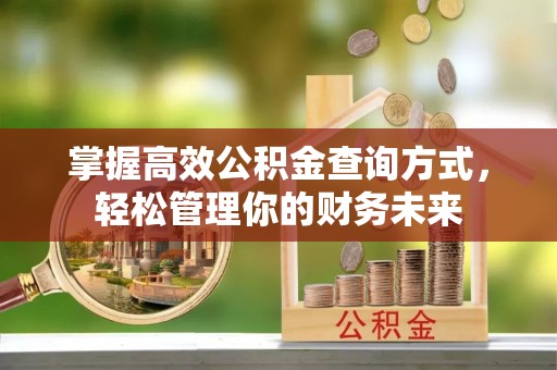 泗洪掌握高效公积金查询方式，轻松管理你的财务未来