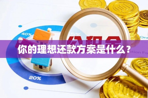 泗洪你的理想还款方案是什么？