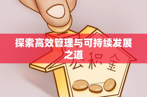泗洪探索高效管理与可持续发展之道