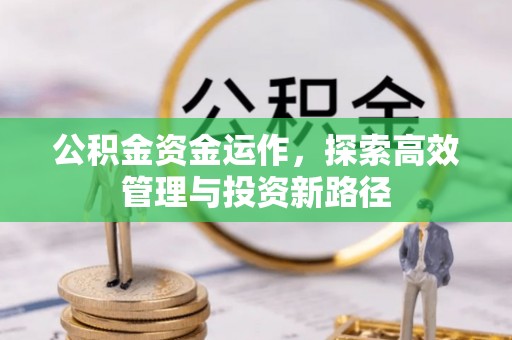 泗洪公积金资金运作，探索高效管理与投资新路径