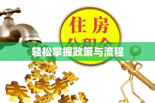 泗洪轻松掌握政策与流程