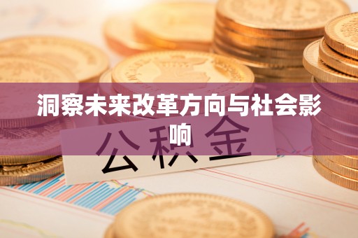 泗洪洞察未来改革方向与社会影响