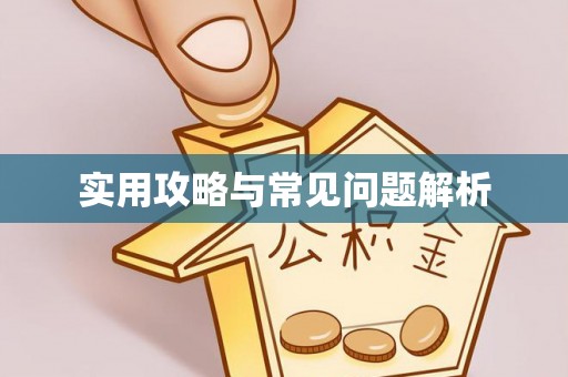 泗洪实用攻略与常见问题解析