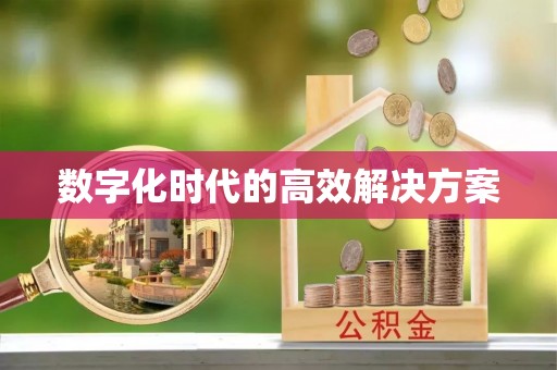 泗洪数字化时代的高效解决方案