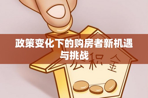 泗洪政策变化下的购房者新机遇与挑战