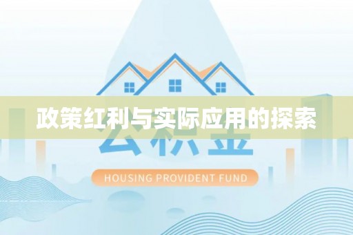 泗洪政策红利与实际应用的探索