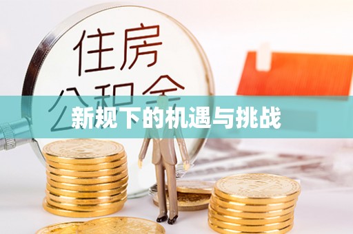 泗洪新规下的机遇与挑战