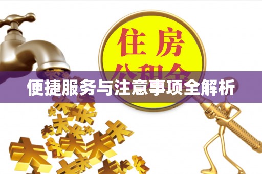 泗洪便捷服务与注意事项全解析