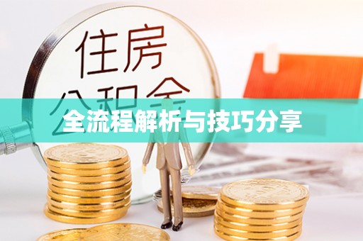 泗洪全流程解析与技巧分享