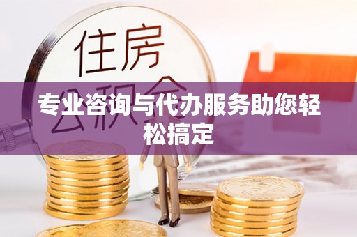 泗洪专业咨询与代办服务助您轻松搞定
