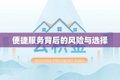 泗洪便捷服务背后的风险与选择
