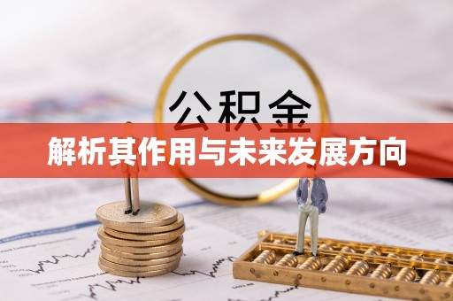 泗洪解析其作用与未来发展方向