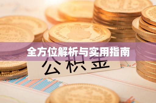 泗洪全方位解析与实用指南