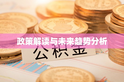 泗洪政策解读与未来趋势分析