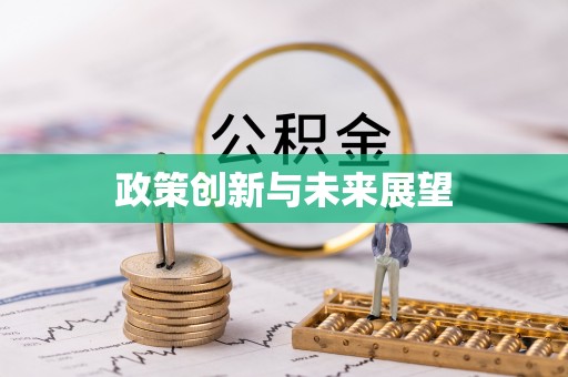 泗洪政策创新与未来展望