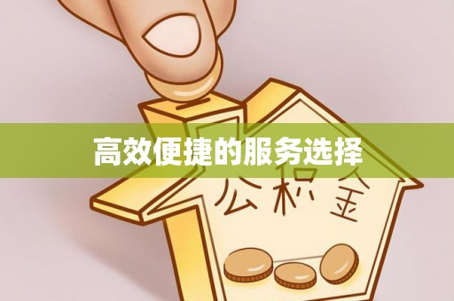 泗洪高效便捷的服务选择