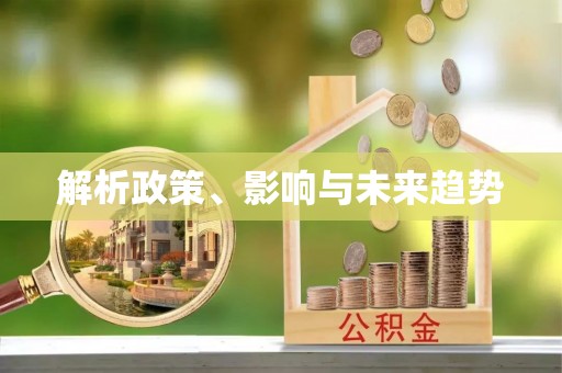 泗洪解析政策、影响与未来趋势