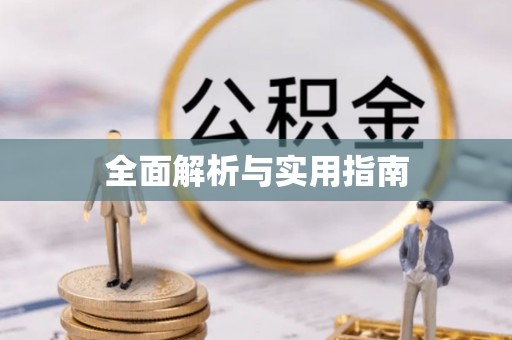 泗洪全面解析与实用指南