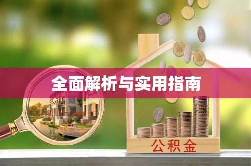 泗洪全面解析与实用指南