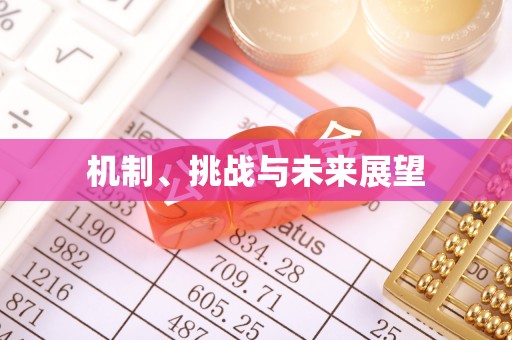 泗洪机制、挑战与未来展望